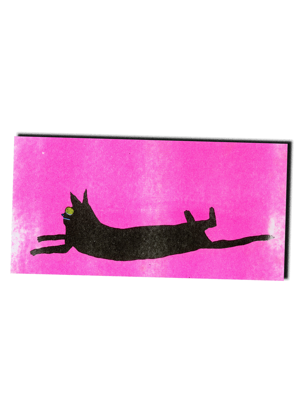 ravioli the cat risograph print gentle thrills