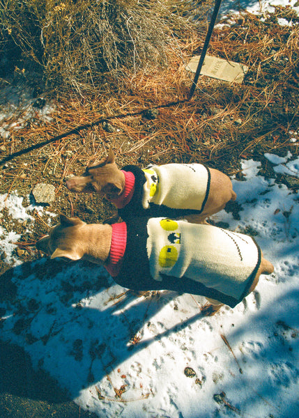 tuxedo dog sweater with the endery